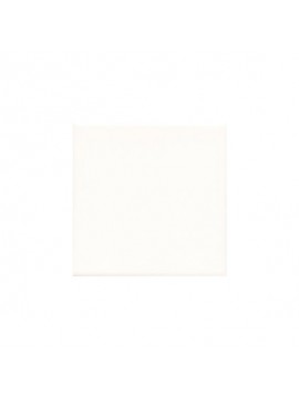 UNICOLOR 15x15 BLANCO BRILLO 1.kl 